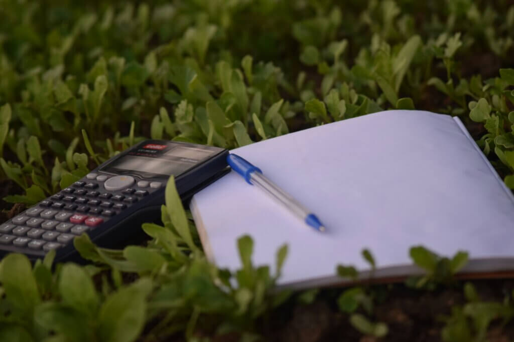 A calculator, pen, and pad of paper lying on a bed of green leaves.
