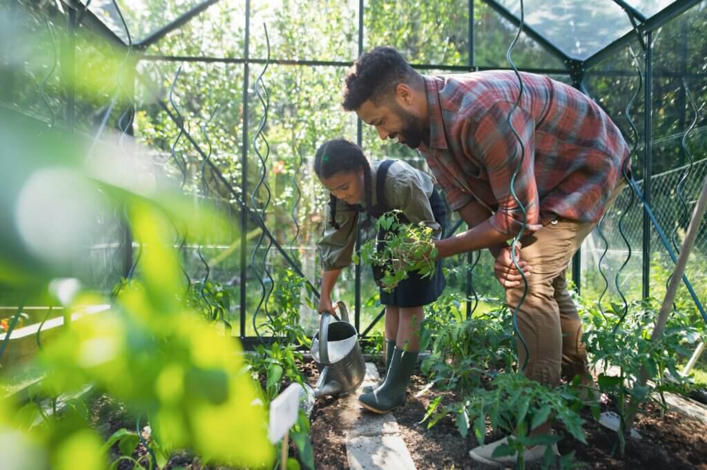 Father teaching daughter how to plant tomatoes in a greenhouse.