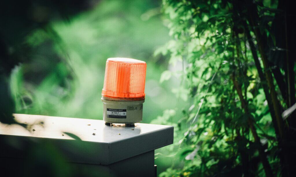 Warning light surrounded by green branches.